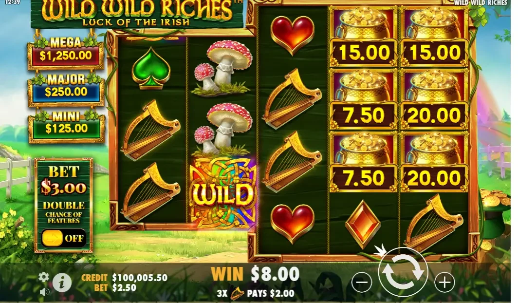 Wild Wild Riches Slot